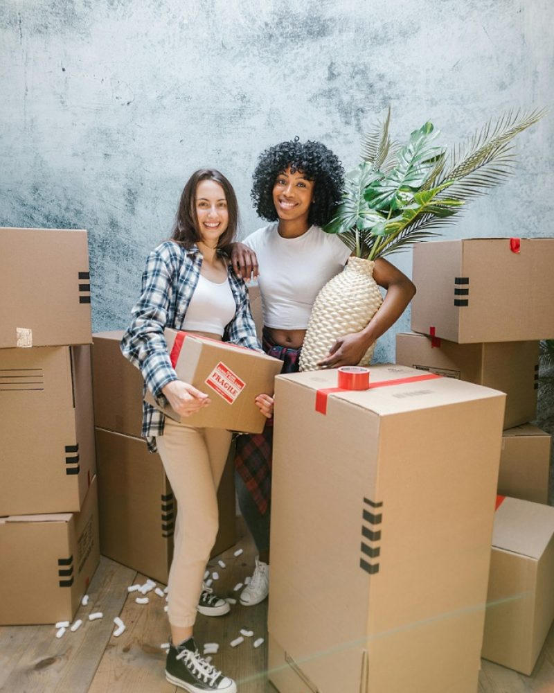 IMG_20241108_232738_(683_x_1024_pixel)